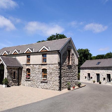 Moynure House Boutique B&B & Separate Two Bedroom Chalet Athlone Exterior foto